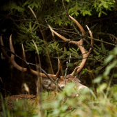 rozlúčkový pohľad