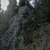 Starý sediacy posed ...