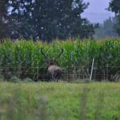 Videl som ho ja prvy alebo on mna?