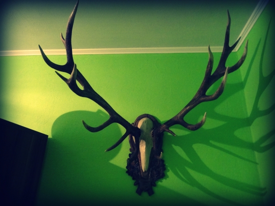 Zhody na lebke ... 16 - torák :))