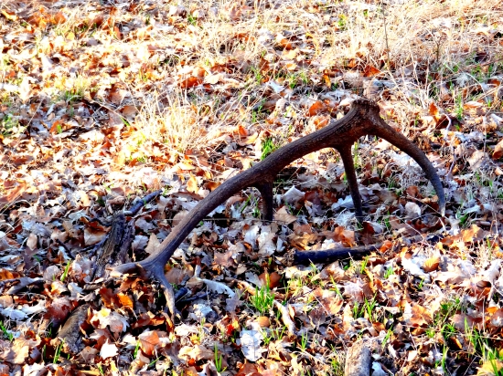 čerstvý 14-torák :)