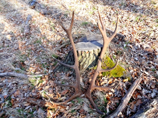 pár nepravidelný 16-torák ... spiatočník