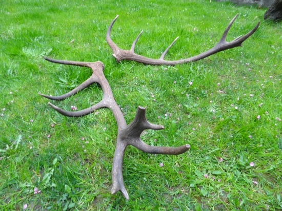 ešte jedna po obodovaní :)