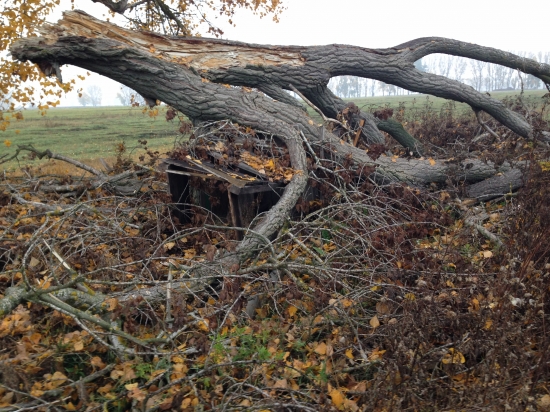 PZ Luky Sena ta spadlo