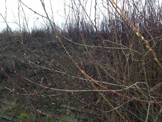 Veselu Velku noc 2014