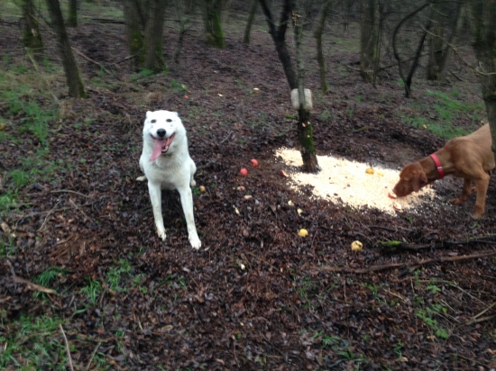 pre zver , nie pre lovcov