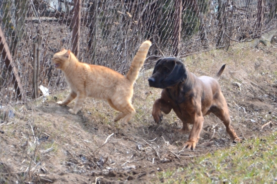 to je můj konééééc