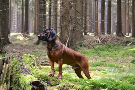 vidím v dálce........a neřeknu