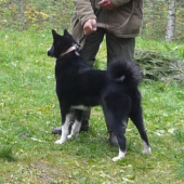 Klubová výstava Poprad