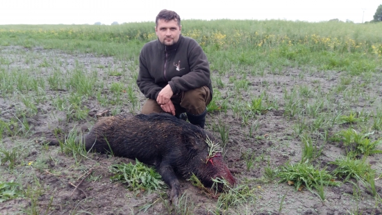 pekne ráno po daždi.