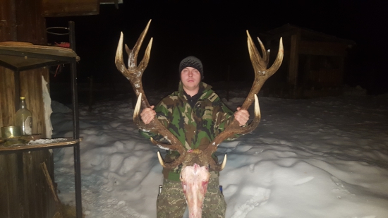 Kamaratov uhyn 16-torak