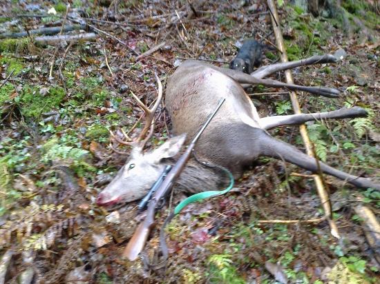 výradový nedeľňajší šestoráčik