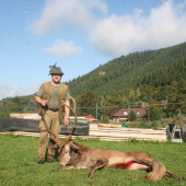 vydarene nedelne ráno