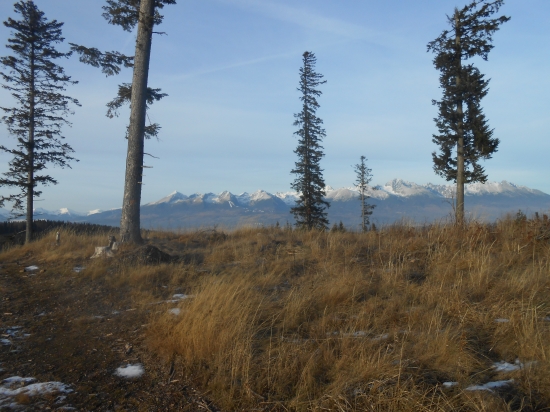 Jedlinky 1092m.n.m pohlad na Tatry