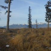 Jedlinky 1092m.n.m pohlad na Tatry