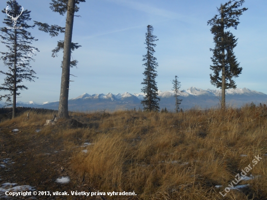 Jedlinky 1092m.n.m pohlad na Tatry