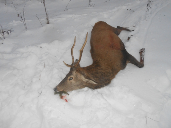 pomohol som ho dostat na cestu