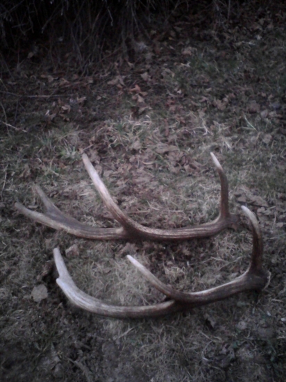 v robote ale len minulorocne