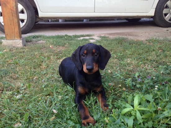 Katana spod Kokavskej Varty