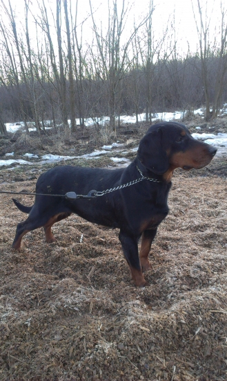 R.I.P. ĎOBKA... Budeš nám chýbať..