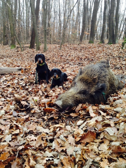 Prvá spoločná...:)