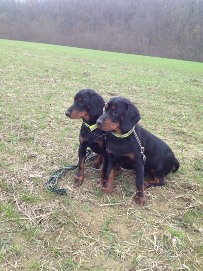 Sústredenie pred pohonom..:)