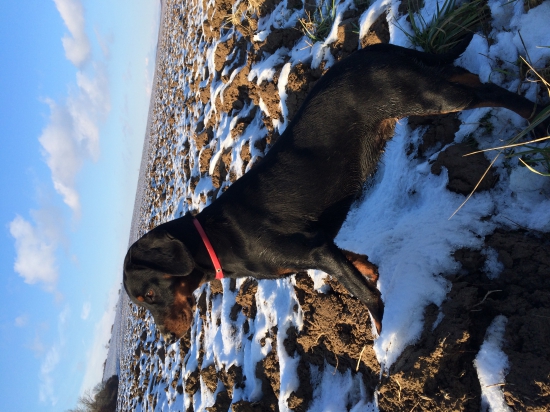 Katana spo kokavskej Varty