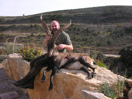kozorožec španielsky,podruh Becite