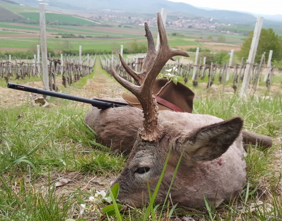 ďaľší z lepších