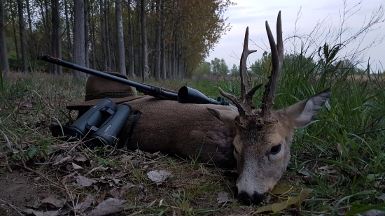 Do tretice všetko najlepšie
