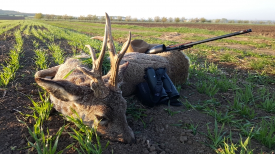 posledný z väčších