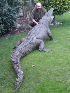 dlho očakávaná trofej