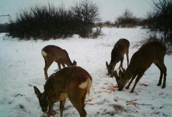 aj na nás už prišla zima...