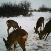 aj na nás už prišla zima...