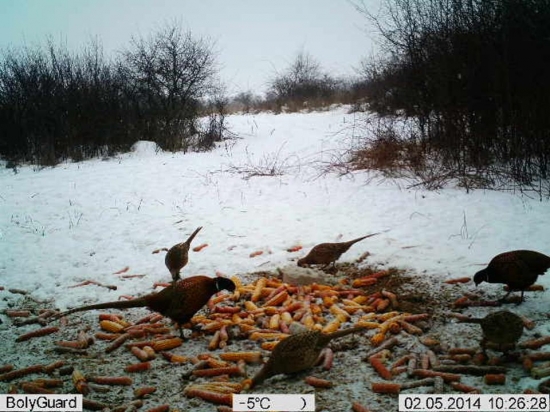 našu rodinku tu ešte nemáte...