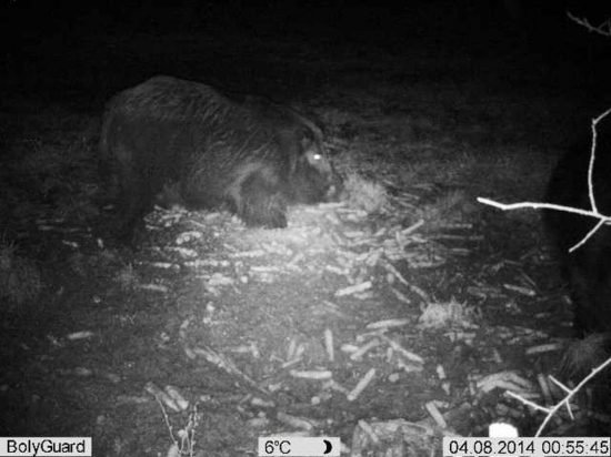 nechali ma tu samého :-(