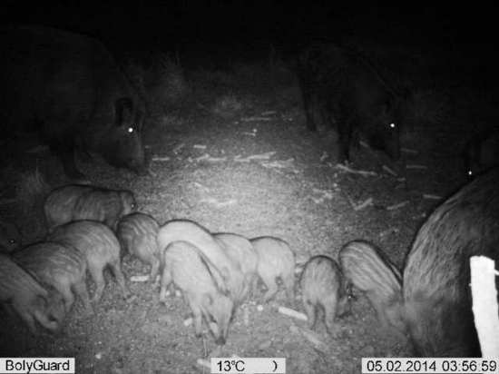 naše nové prírastky