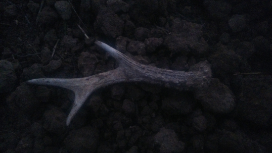 moj  dnešný úlovok