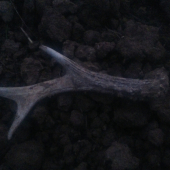 moj  dnešný úlovok