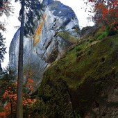 Skály