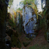 Skály