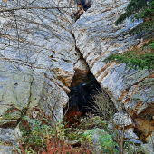 Skály