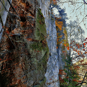 Skály