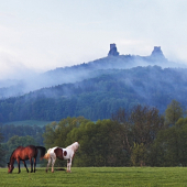 Hrad Trosky