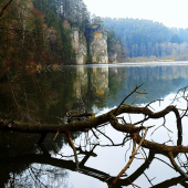 Věžický rybník