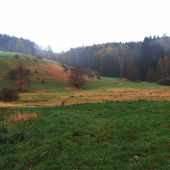 Český ráj