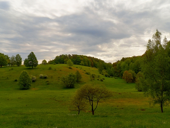 Jaro