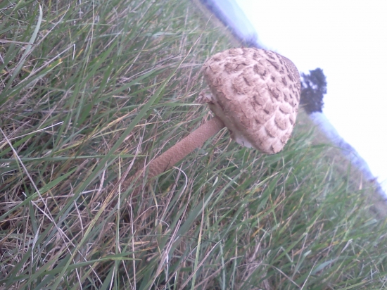 Keď som našiel v novembri :)