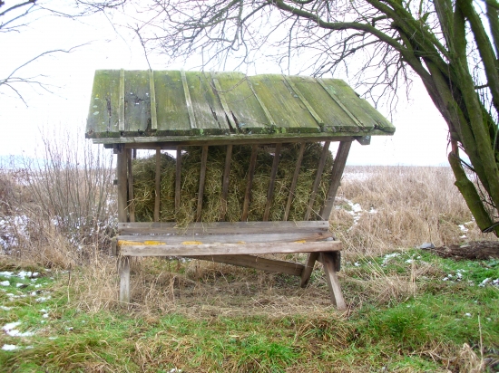 Cestou domov som s kontroloval :)