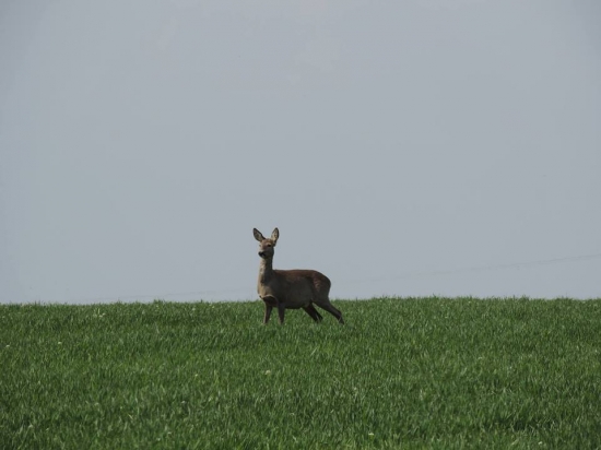 Aj so zlomenou rukou sa da fotit ;)